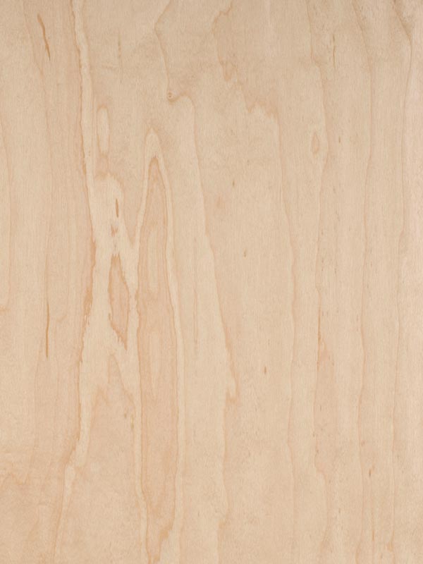 Maple Plywood from China manufacturer Chinatopwood
