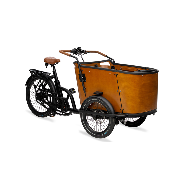 Cargo Bike Plywood Box
